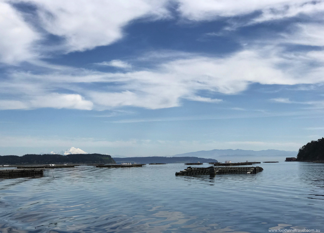 Penn Cove Mussel Farm