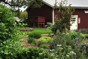 Orchard Kitchen Whidbey Island Herb Garden