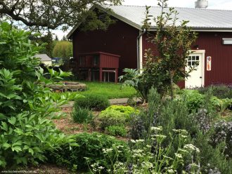 Orchard Kitchen Whidbey Island Herb Garden