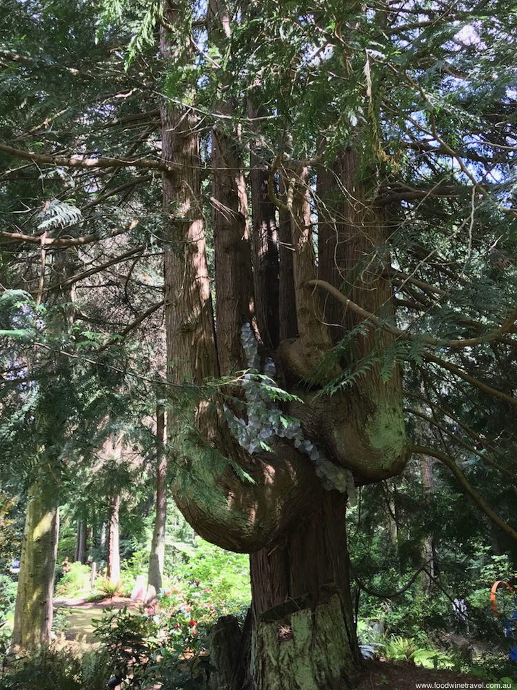 IFWTWA Camano Island Matzke Sculpture Park Art