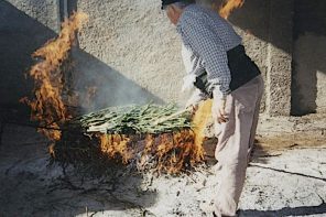 Cal Ganxo restaurant, calcotada, Great Calcotada Fiesta, Valls, Tarragona, Catalonia, Spain, calcots, romesco sauce, what are calcots