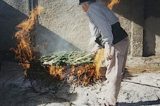 Cal Ganxo restaurant, calcotada, Great Calcotada Fiesta, Valls, Tarragona, Catalonia, Spain, calcots, romesco sauce, what are calcots