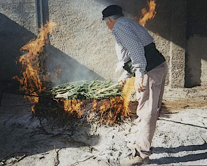 Cal Ganxo restaurant, calcotada, Great Calcotada Fiesta, Valls, Tarragona, Catalonia, Spain, calcots, romesco sauce, what are calcots