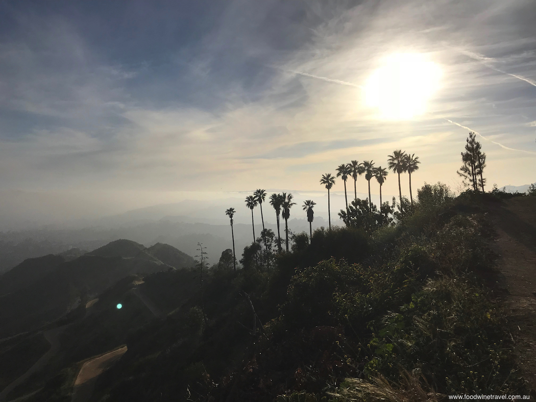 West Hollywood Sunset Hike Palms and sunset