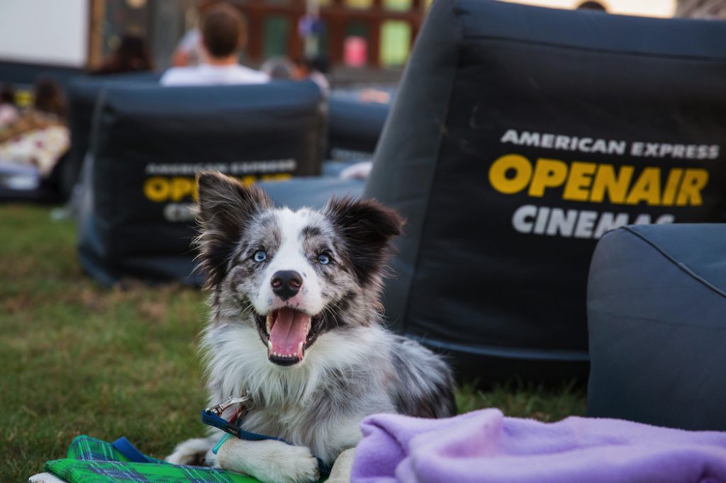 American Express Openair Cinemas 2019