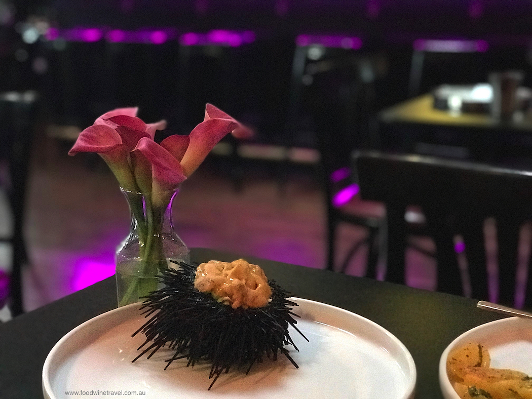 Bibi Ji restaurant Santa Barbara sea urchin