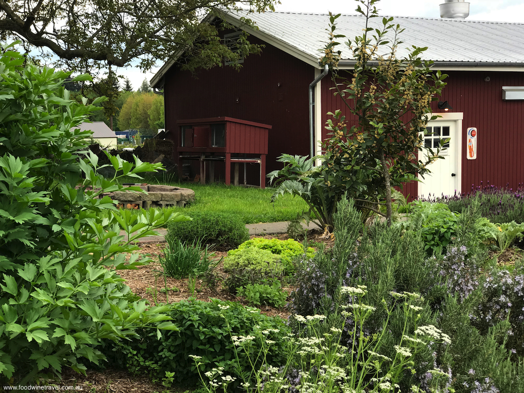 Top Food & Wine Experiences in 2018 IFWTWA Whidbey Island Trip Orchard Kitchen Herb Garden