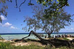 Lady Musgrave Island, at the southern end of Queensland's Great Barrier Reef.