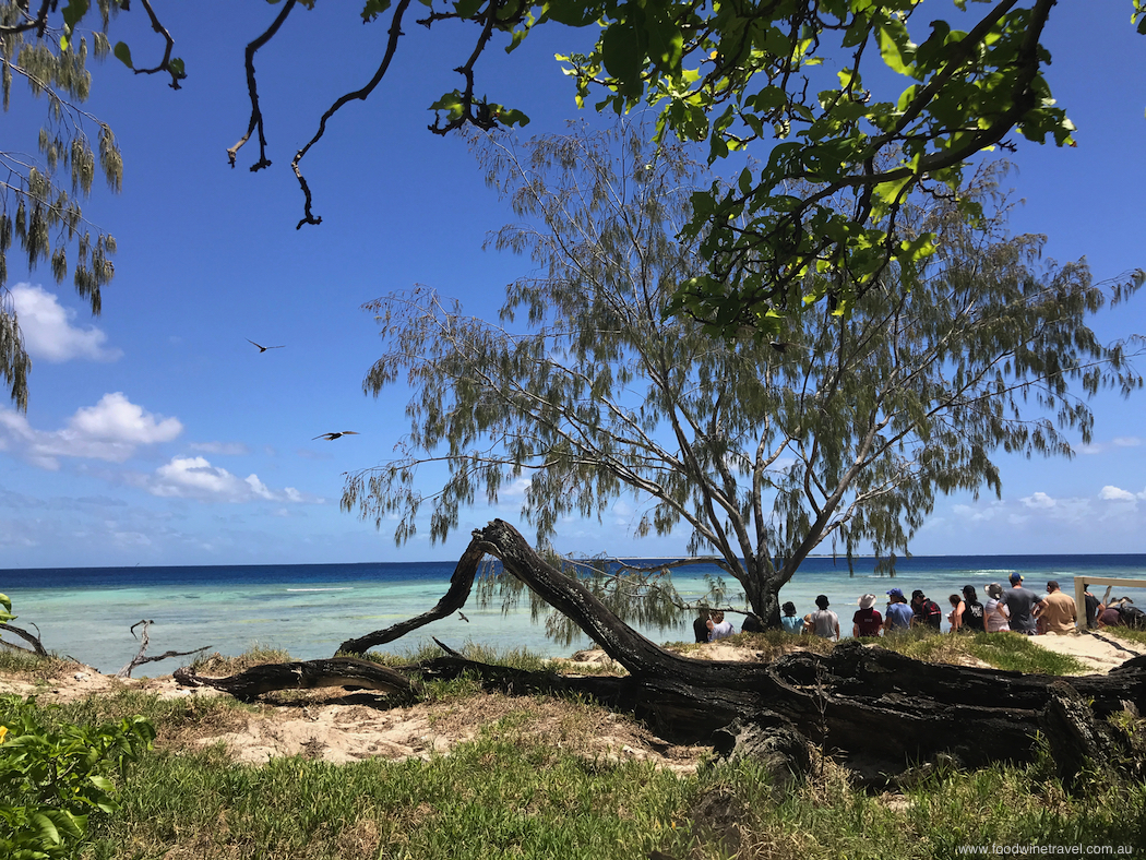 Lady Musgrave Island, at the southern end of Queensland's Great Barrier Reef.