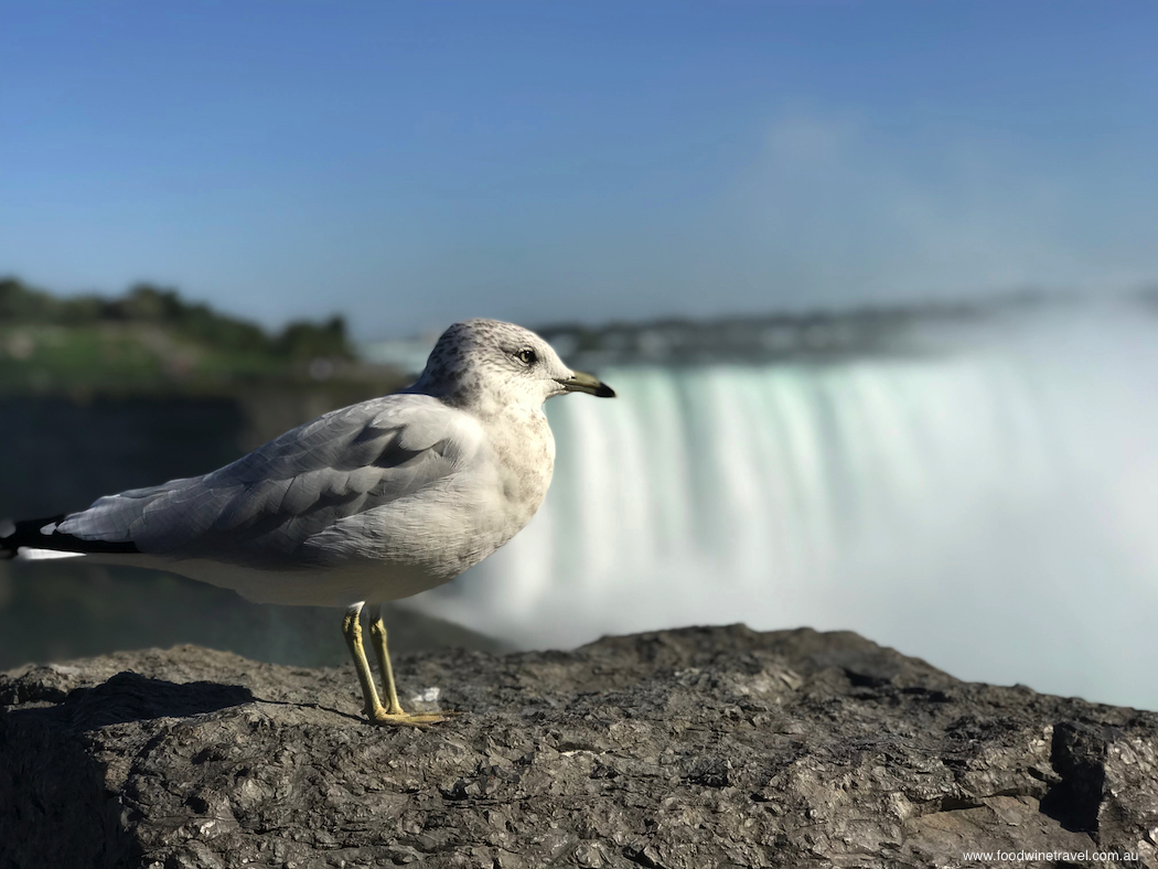 Top Travel Experiences 2018 Canada