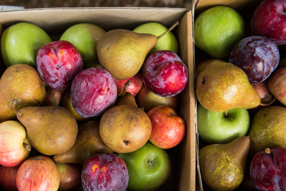 Orange FOOD Week 2019 produce