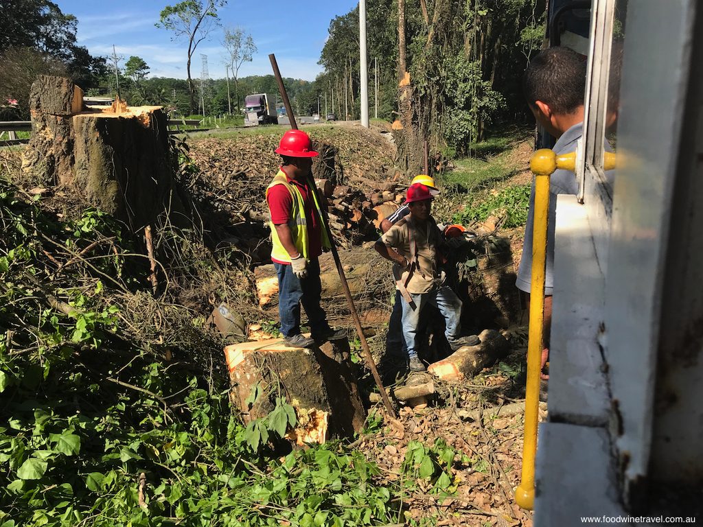 Clearing Costa Rica train tracks