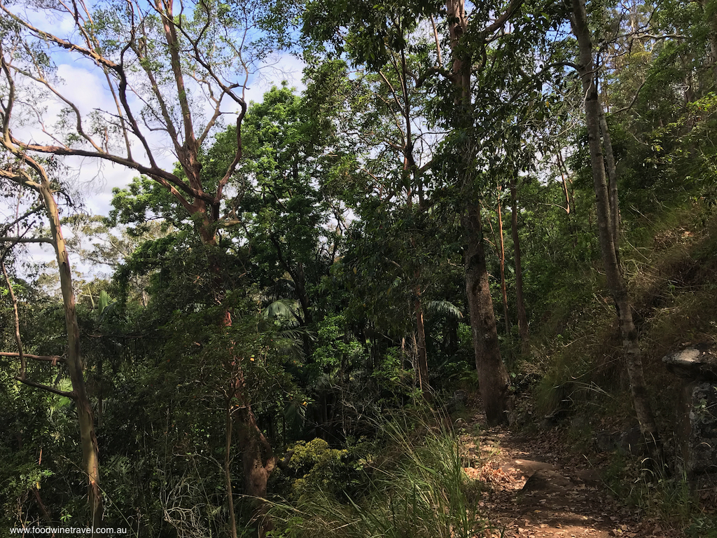 Tamborine Mountain National Park