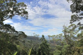 Tamborine Mountain, Witches Falls, Queensland’s First National Park
