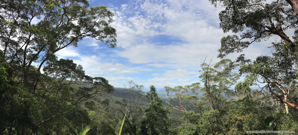 Tamborine Mountain, Witches Falls, Queensland’s First National Park