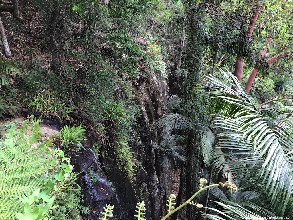 Tamborine Mountain National Park Witches Falls