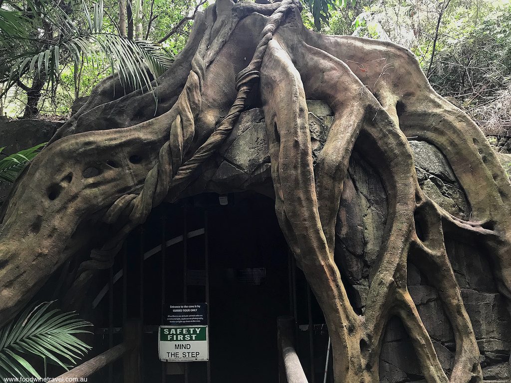 Glow Worm Caves, Tamborine Mountain Food Wine Travel