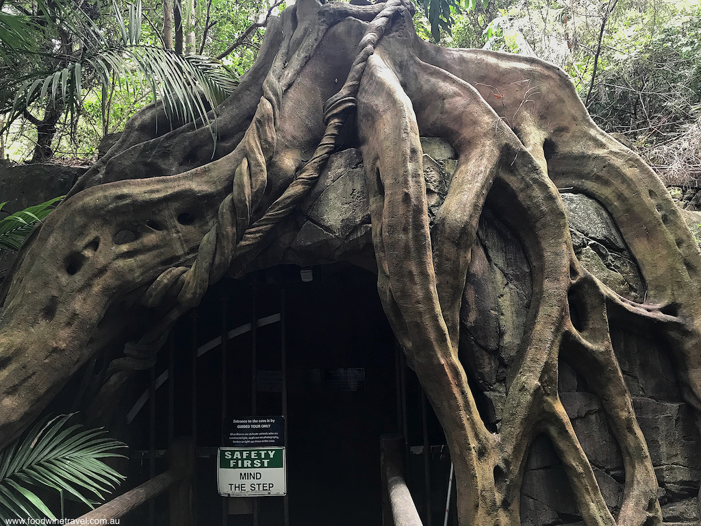 Tamborine Mountain Glow Worm Caves entry