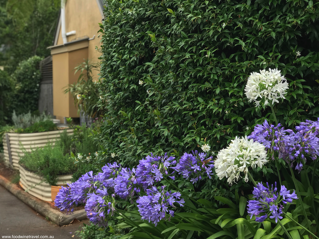 Tamborine Mountain Witches Falls Cottages Agapanthus