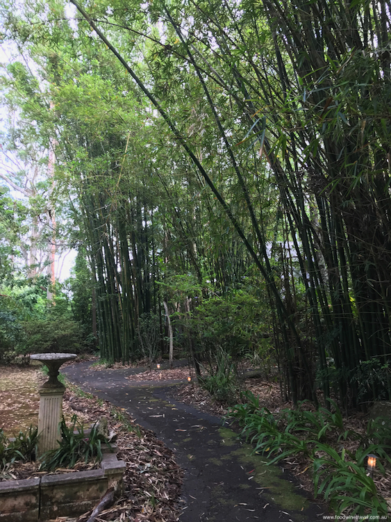 Tamborine Mountain Witches Falls Cottages Bamboo Vertical