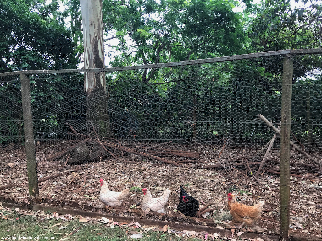 Tamborine Mountain Witches Falls Cottages Chook Pen