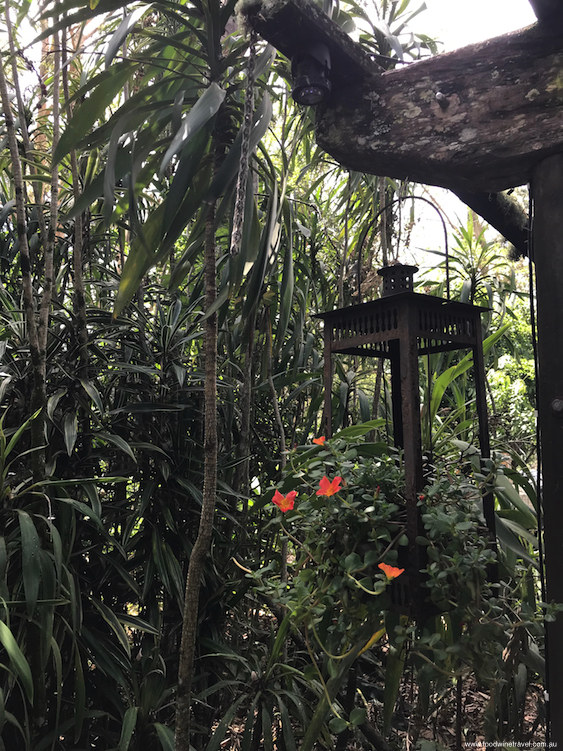 Tamborine Mountain Witches Falls Cottages Orange flowers