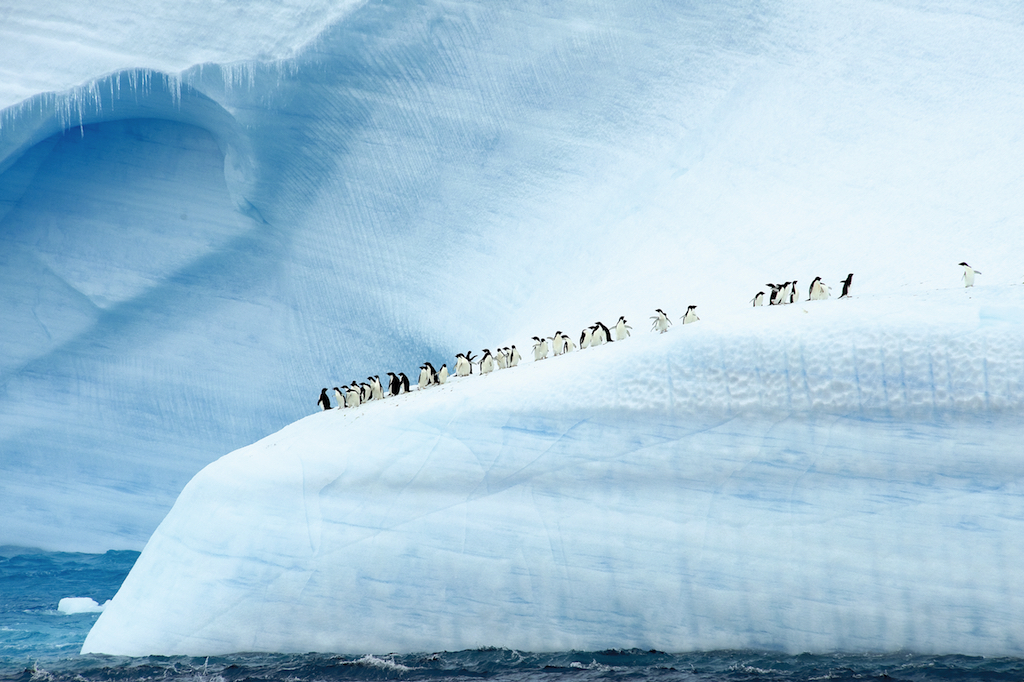 Ponant's Christmas cruise to Antarctica promises extraordinary vistas. Photo © Nathalie Michel.
