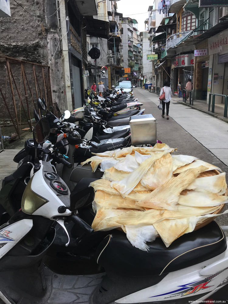 Bacalhau (codfish) drying in the sun.