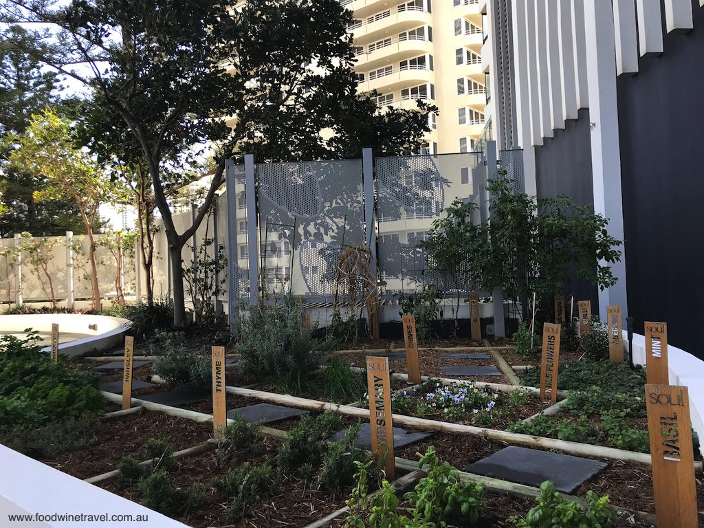 The outdoor herb garden, tucked away behind Peppers Soul.