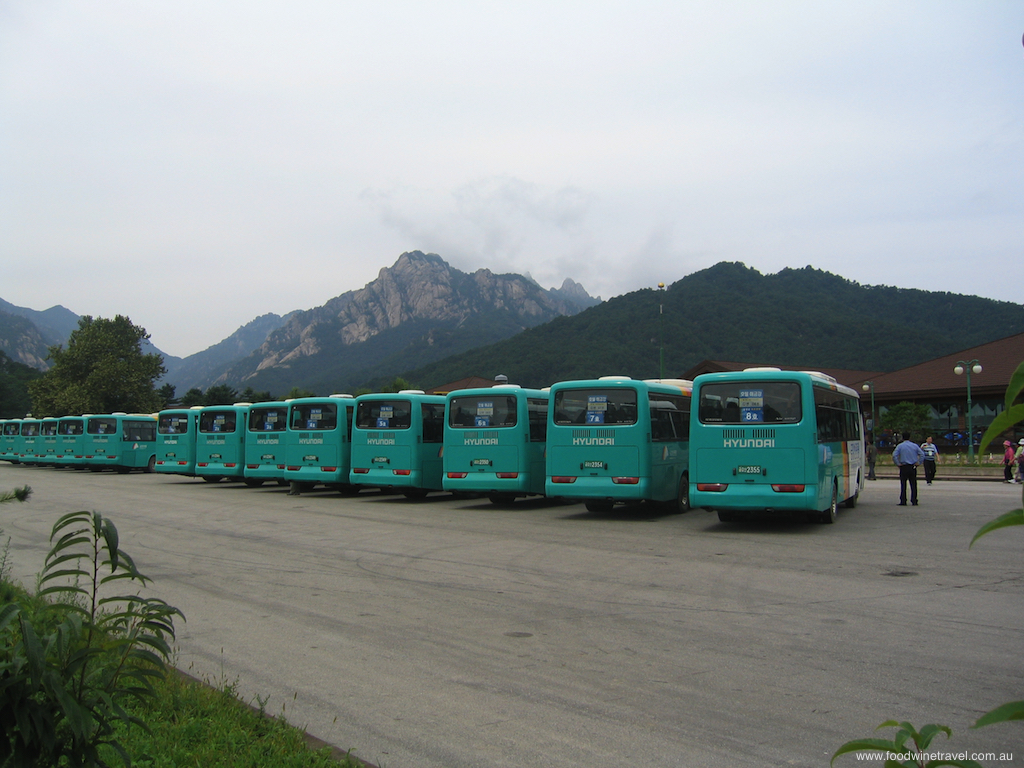 North Korea Hyundai buses