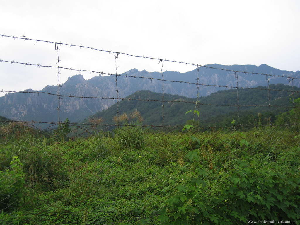 North Korea barbed wire