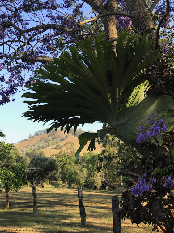 Amamoor Lodge Gympie