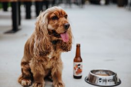 Furry friends are welcome too. Photo by Pandora Photography.