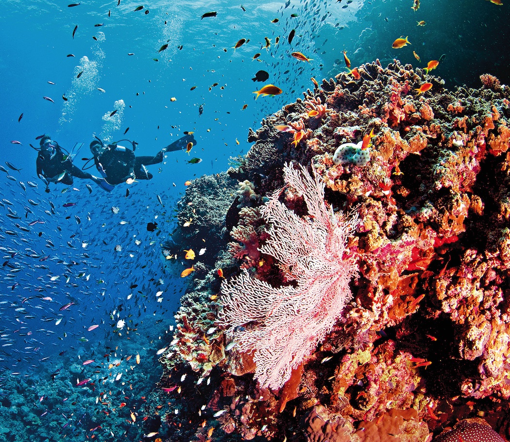 World Heritage Sites of Australia Great Barrier Reef