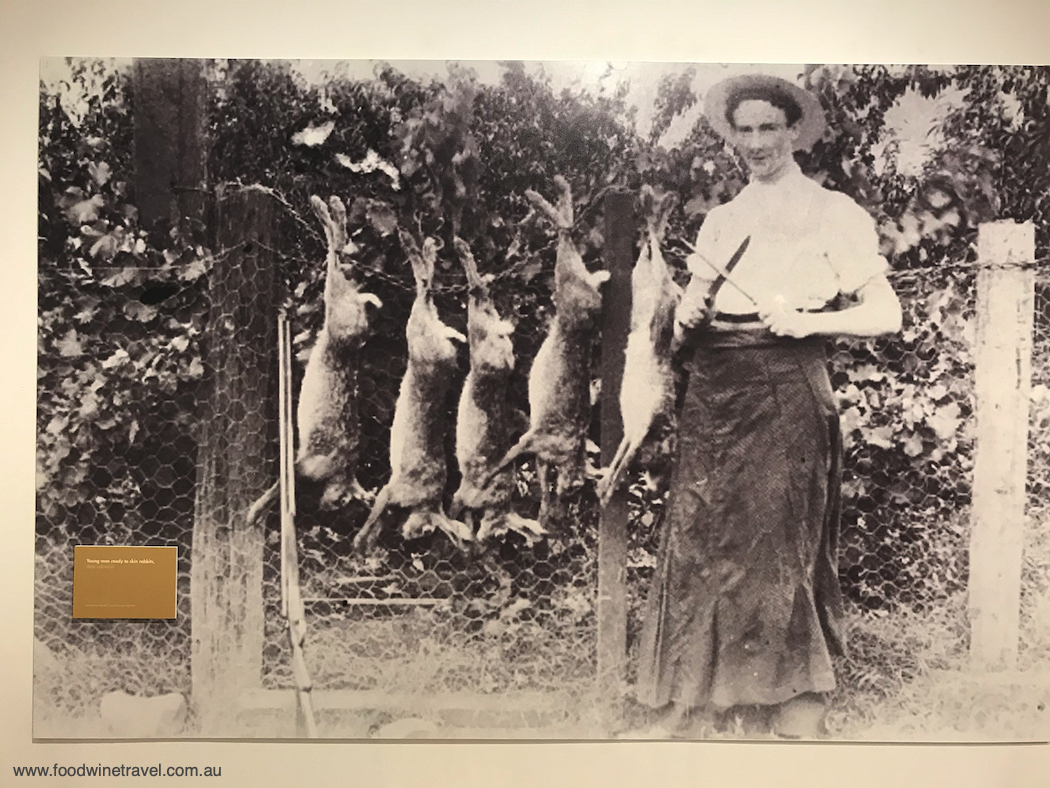 'Young man ready to skin rabbits', date unknown.