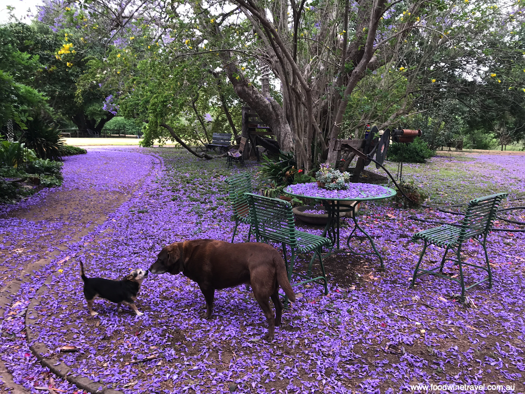 Pretty as a picture: Camden Park Estate, NSW.