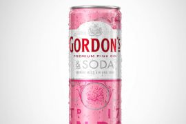 Gordon’s Premium Pink Gin & Soda