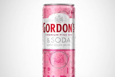 Gordon’s Premium Pink Gin & Soda