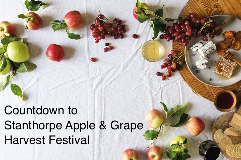 Granite Belt Stanthorpe Apple and Grape Harvest Festival Apples on Table With Promo