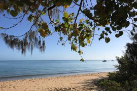 Scarness Beach Queensland