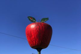 The Big Apple, at the northern entrance to Stanthorpe.