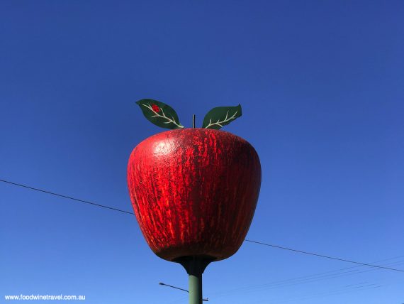 The Big Apple, at the northern entrance to Stanthorpe.