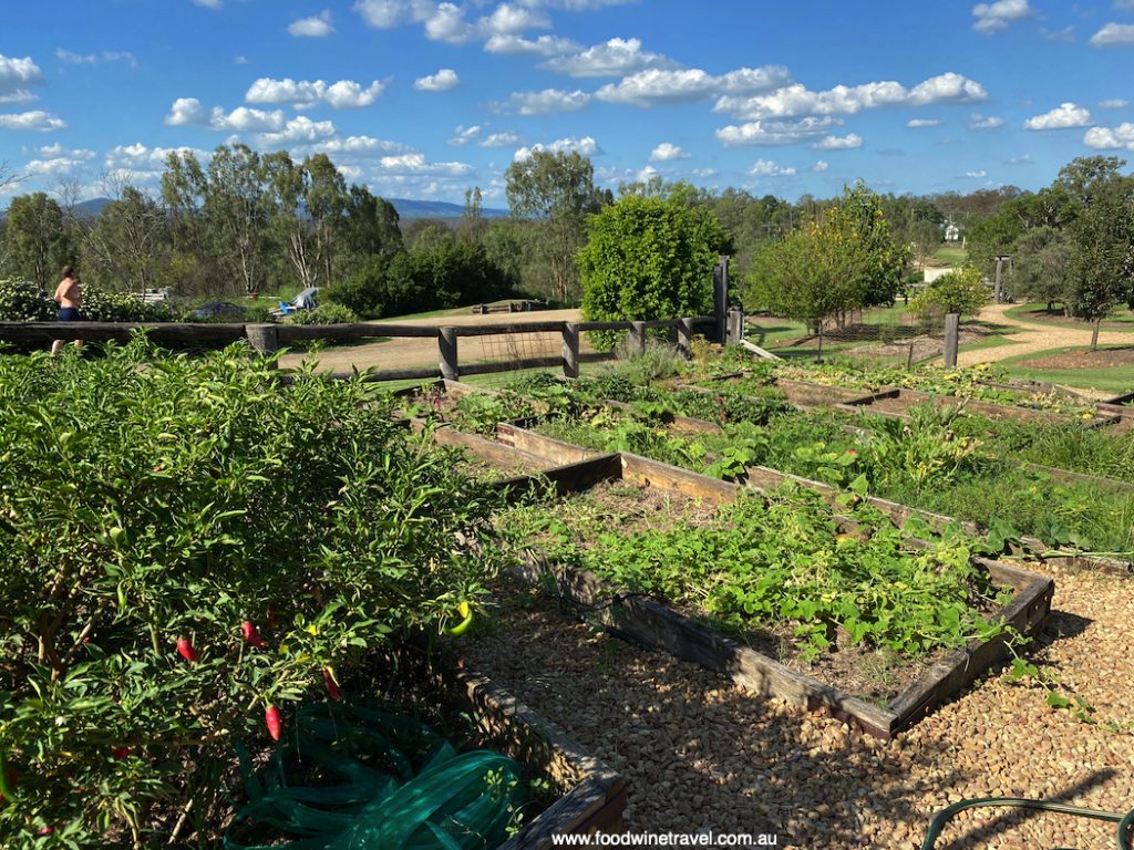 Spicers Hidden Vale Homage Restaurant Kitchen Garden