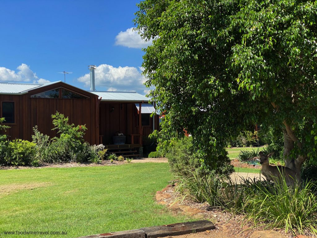 Spicers Hidden Vale Homage Restaurant Luxury Cabin and Kangaroo