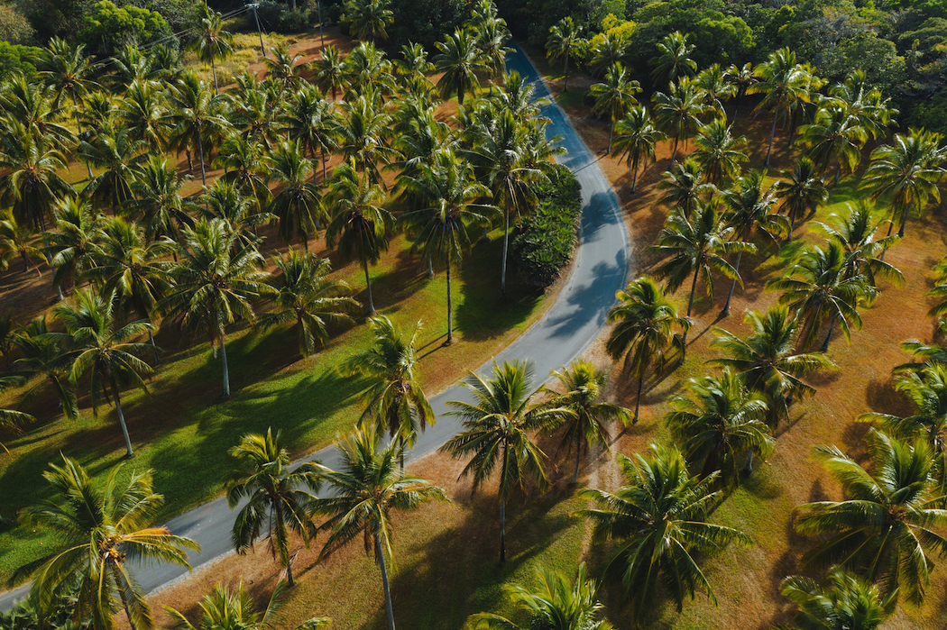 Thala Beach Nature Reserve Resort, on the drive north from Cairns, Tropical North Queensland. © Tourism Australia. best Australian road trips