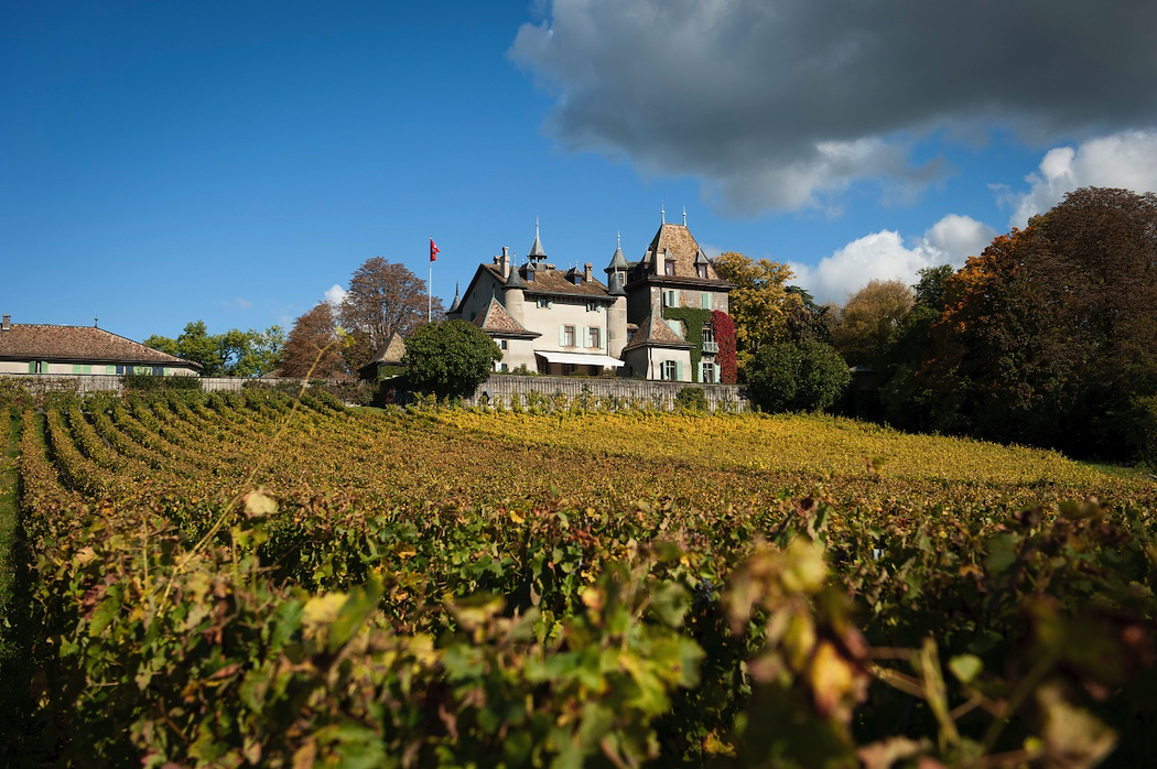 Switzerland's top castle winery experiences: The old cellar vault at Château du Crest was upgraded in the 1990s.