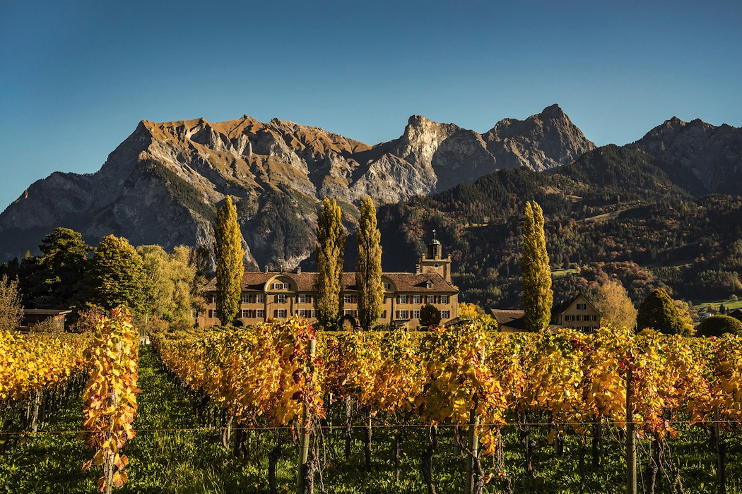 Switzerland's top castle winery experiences: Schloss Salenegg is home to one of Europe’s oldest wineries.