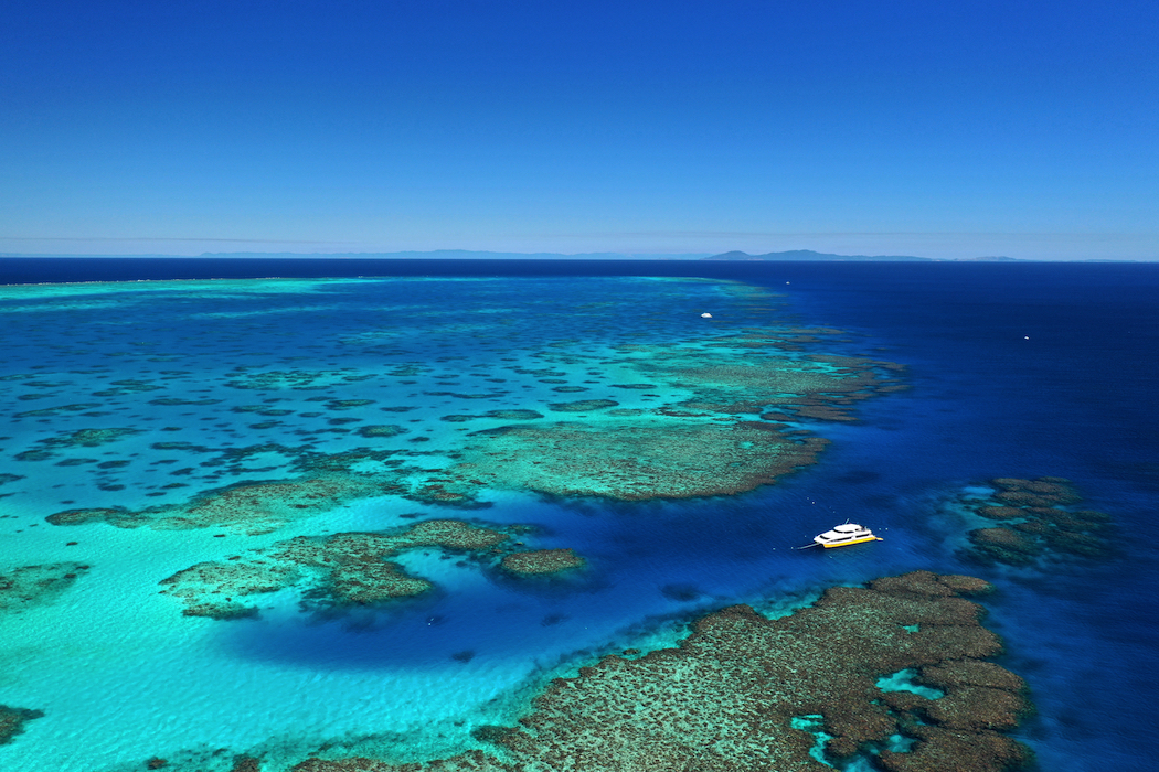 Coral Greenhouse is at John Brewer Reef, about 80 kilometres off the North Queensland coast.