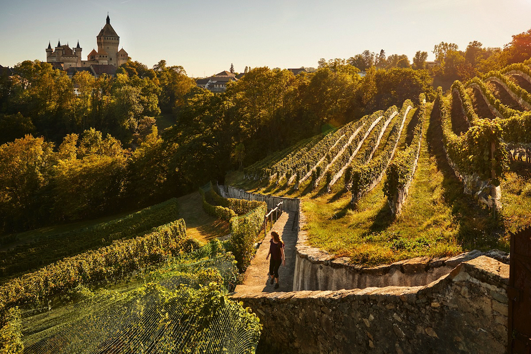 Switzerland's top castle winery experiences: the six-storey high Vufflens Castle has views over Lake Geneva. 