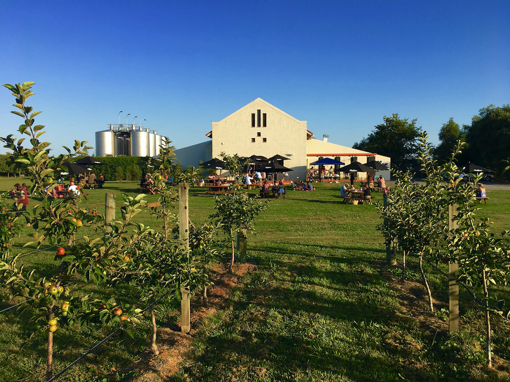 Try a range of flavours at the Zeffer taproom in Hawke's Bay.